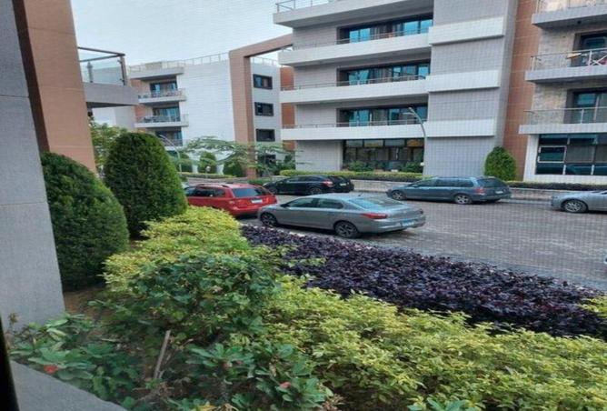 8233985 - صورة العقار 2