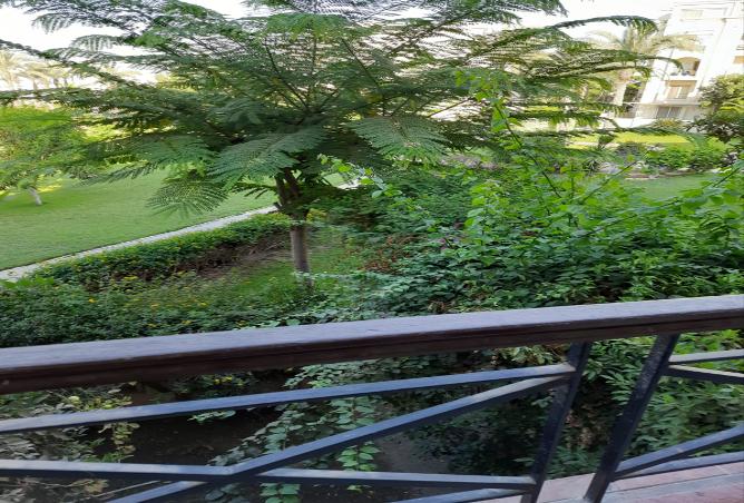 7975363 - الصورة الرئيسية للعقار