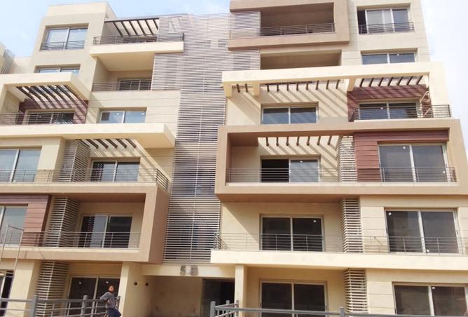 8083800 - Property Image 3