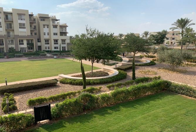 7901772 - صورة العقار 3