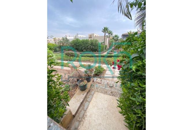 8213297 - Property Image 3