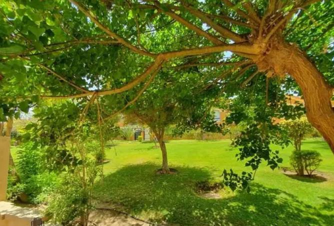 8300885 - صورة العقار 2