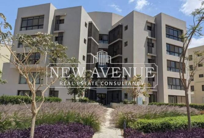 8139620 - Property Image 2