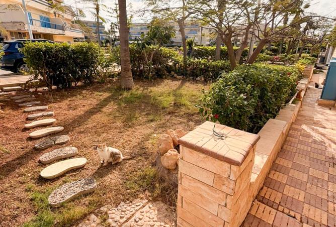 8533589 - صورة العقار 2