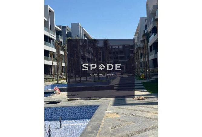 8194357 - Property Image 3