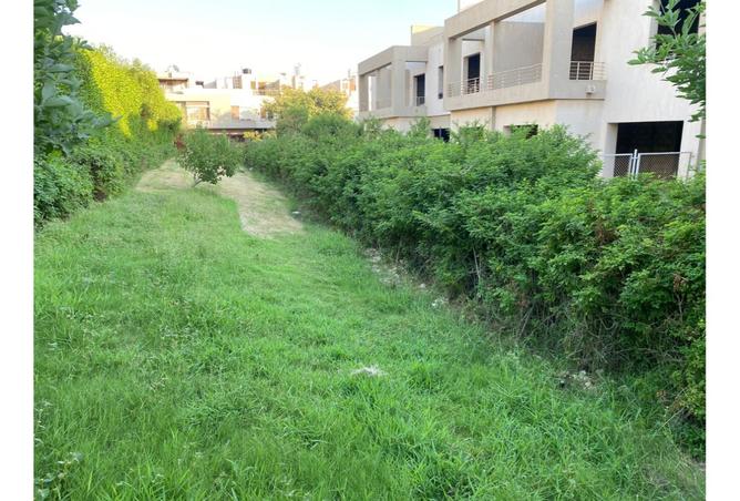8110293 - Property Image 3