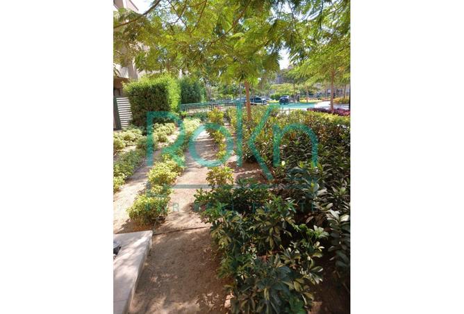 8045012 - Property Image 3