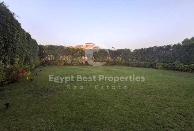8053372 - Property Image 2