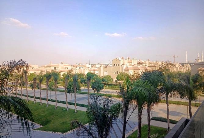 8048781 - صورة العقار 3