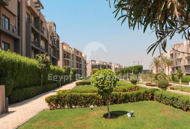 8201354 - Property Image 3