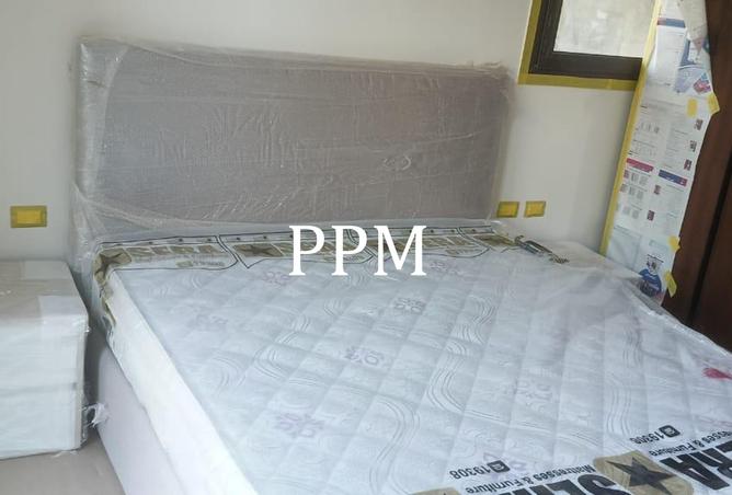 8296477 - Property Image 2