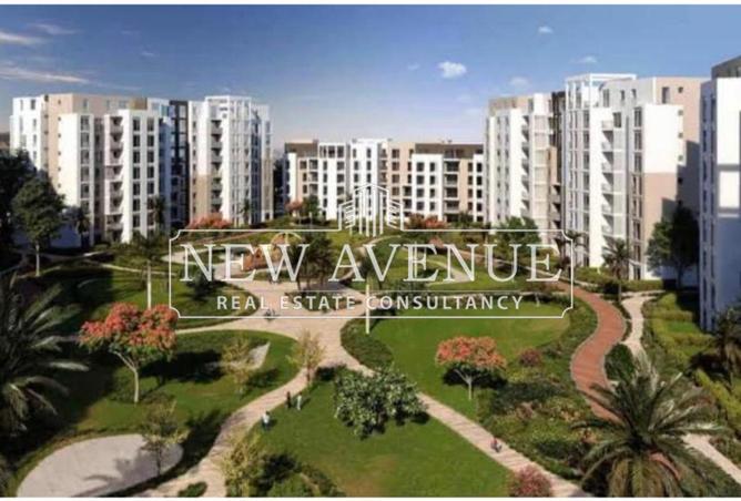 8155739 - Property Image 2