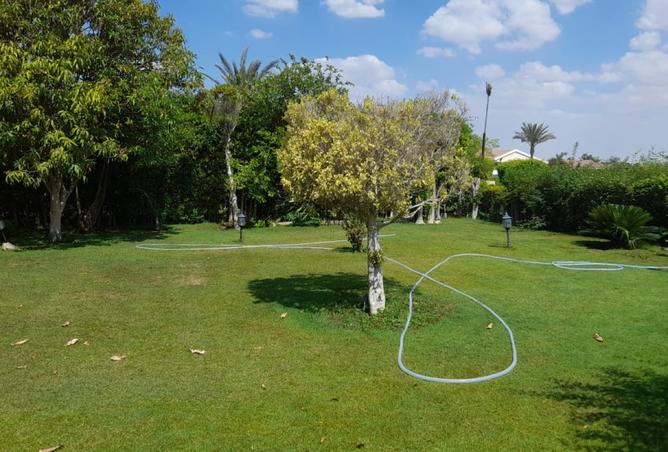 8018000 - Property Image 3