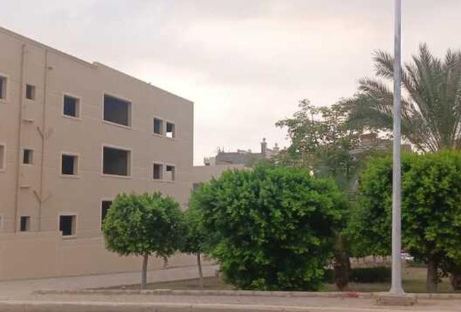 7987580 - صورة العقار 2