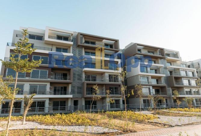 8147929 - Property Image 2