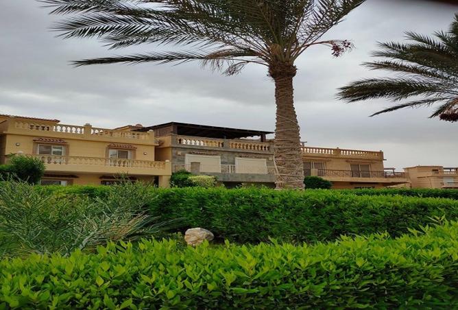 8474385 - Property Image 3