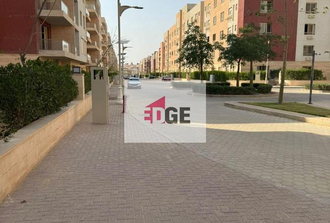 8397268 - صورة العقار 2