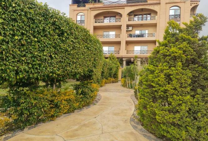 8035721 - Property Image 2
