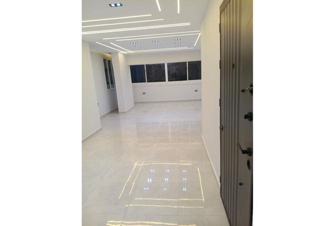 8293242 - Property Image 2