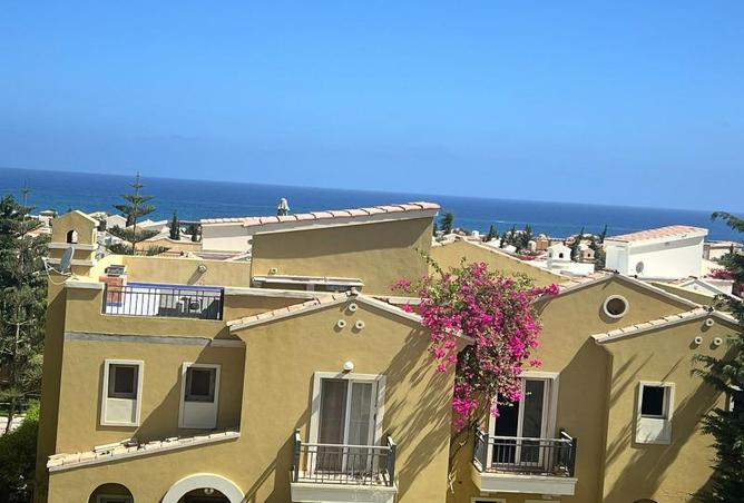 7900024 - صورة العقار 3