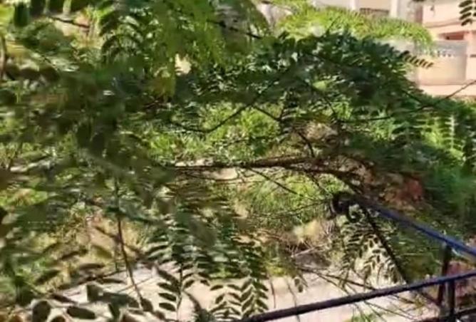 8410989 - Property Main Image