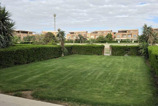 8256889 - Property Image 3