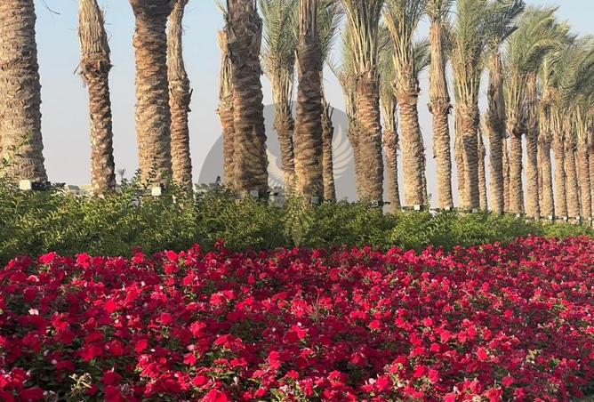 8273559 - الصورة الرئيسية للعقار