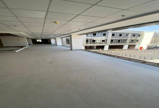 8207802 - Property Image 3