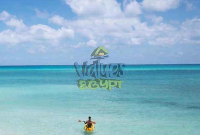 7833137 - Property Image 3