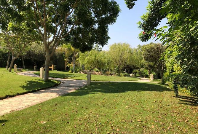 8273846 - صورة العقار 2