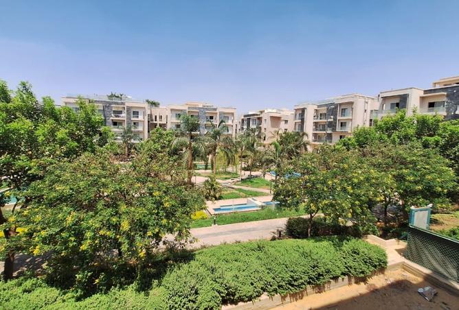 7897681 - Property Image 3