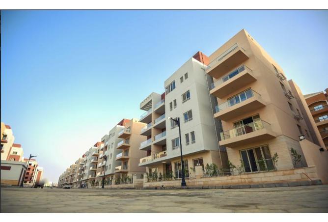 8412459 - Property Image 3