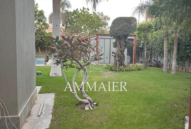 8539738 - Property Image 2