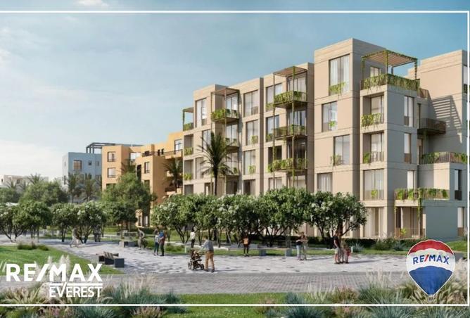 8442246 - Property Image 3