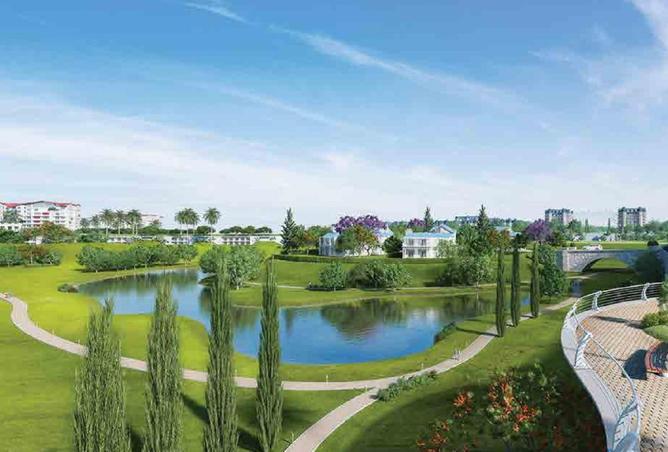 8565589 - صورة العقار 3