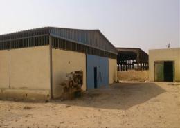 مخزن - 1 حمام for للايجار in المنطقة الصناعية - مدينة العبور - القليوبية