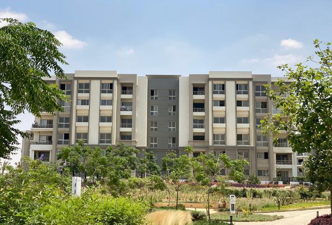 8209543 - صورة العقار 3