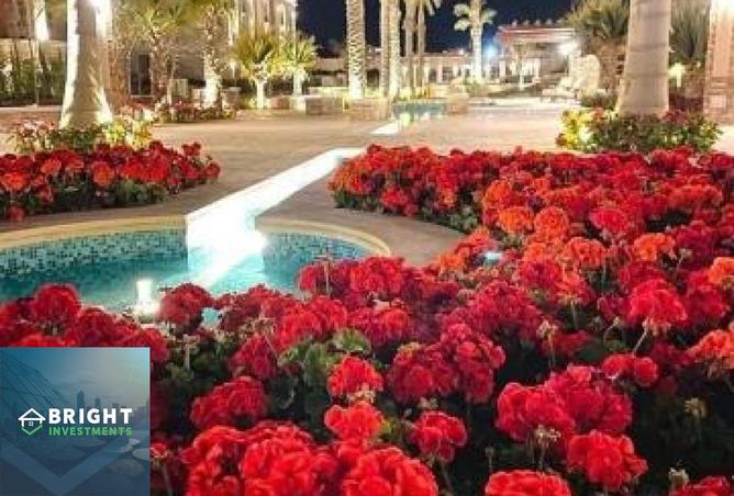 8225417 - Property Image 2