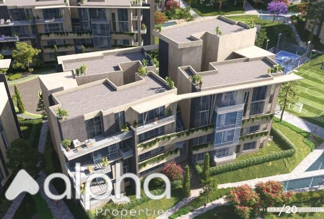 8221903 - Property Image 3