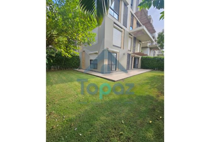 8430332 - Property Image 3