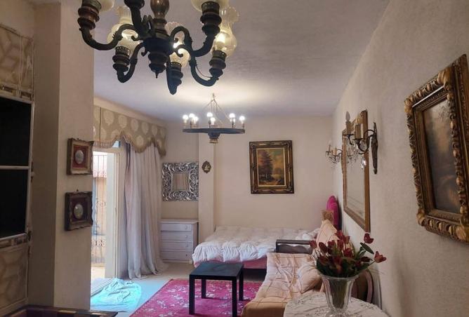 8008224 - Property Image 3