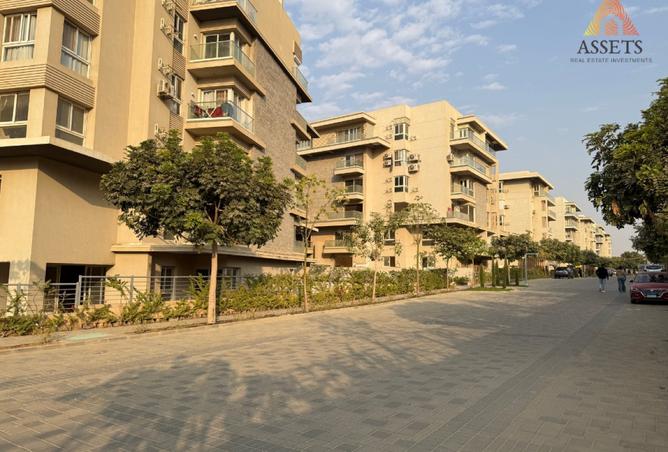 8306772 - Property Image 3