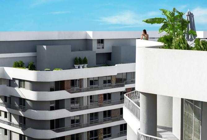 8192559 - Property Image 3