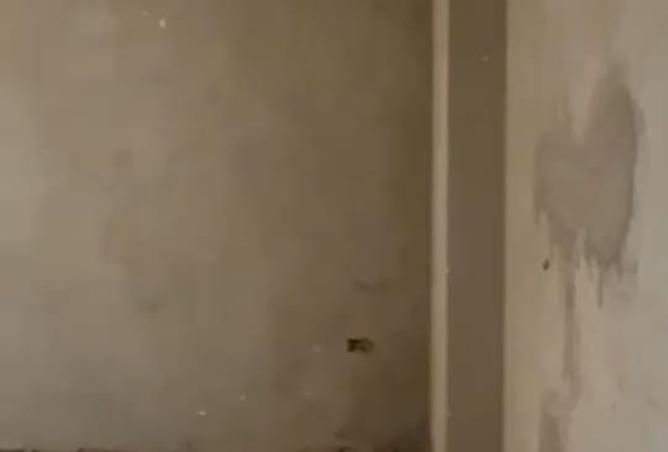 8478764 - الصورة الرئيسية للعقار