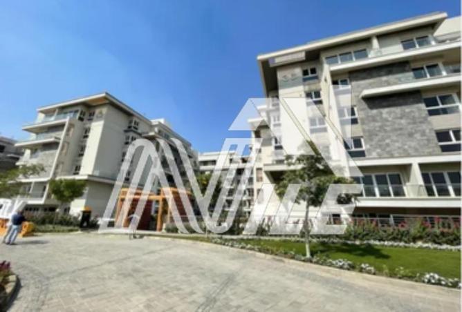 7984640 - Property Image 3