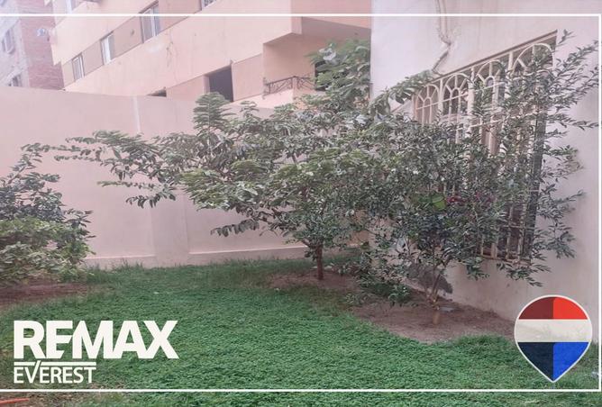 8442372 - Property Image 3