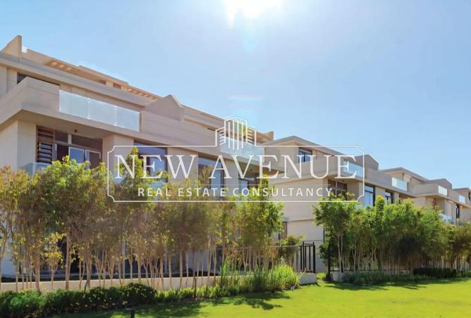 8338944 - Property Image 3