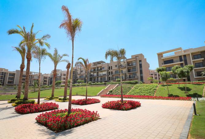 7976054 - صورة العقار 3