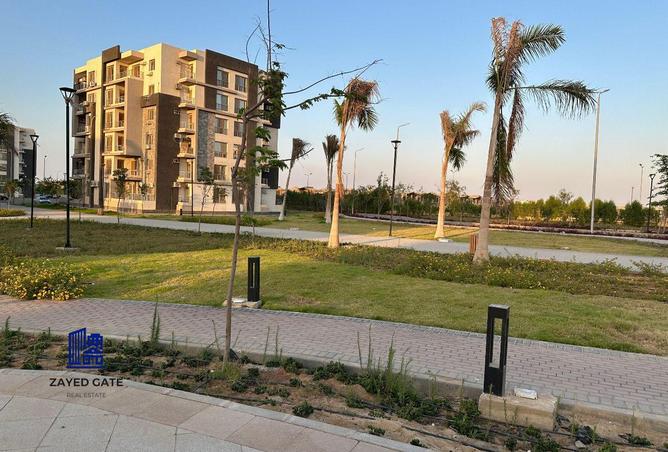 8464276 - Property Image 3