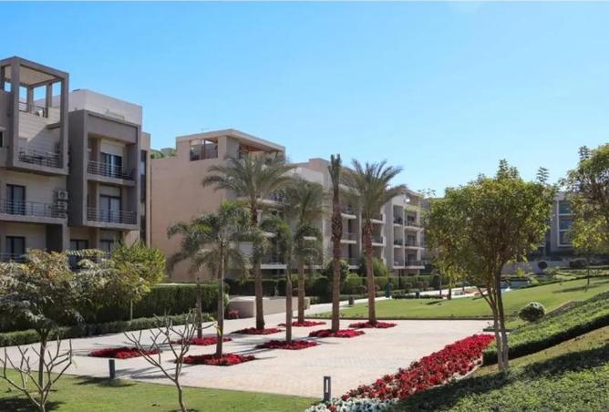 8148392 - Property Image 2